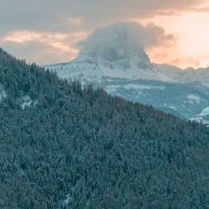 Meet your Posher, Carlos